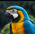 Aves